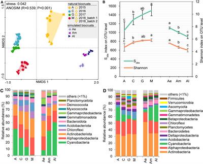 Metagenomic Insight Into Patterns and Mechanism of Nitrogen Cycle During Biocrust Succession